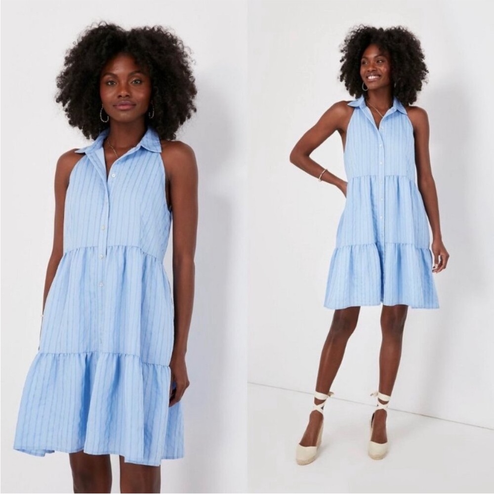 Tuckernuck Blue Striped Mini Dress